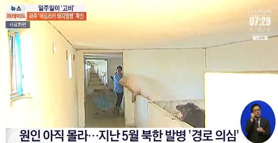 韩媒公布的朝鲜养猪场资料图