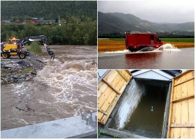 挪威暴雨成灾河道泛滥竟冲走岸边逾100只羊