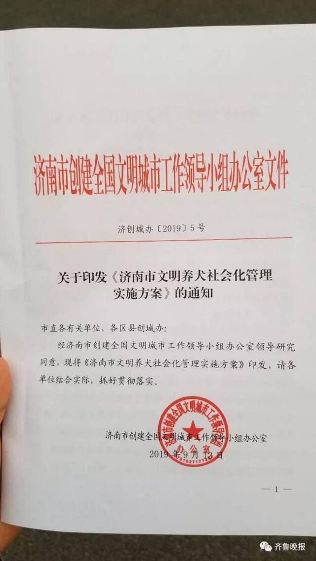 济南发布文明养犬实施方案 每小区至少抽检十只狗