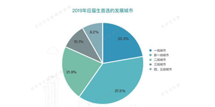 报告截图