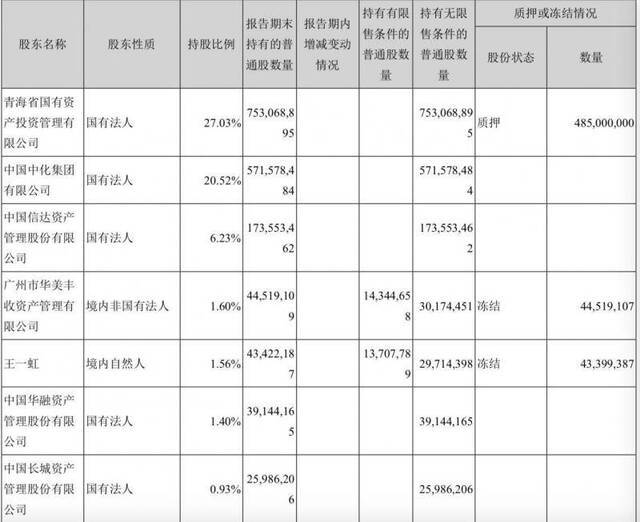 盐湖股份债券持有人通过11议案：要求公司股东提供担保