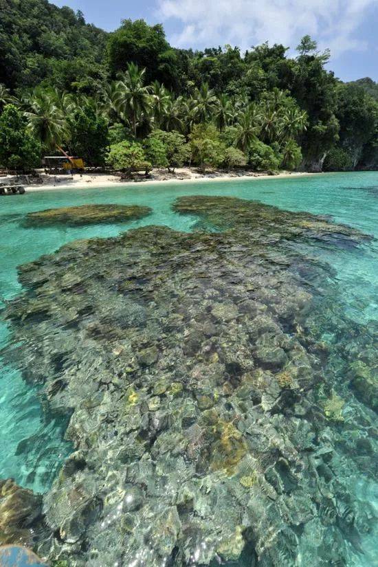 △所罗门群岛东伦内尔岛卡格瓦海港附近海面下的礁石