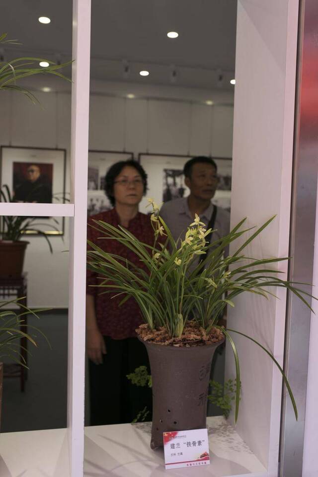 朱德为什么爱兰花？中科院植物所的兰花专题展告诉你答案