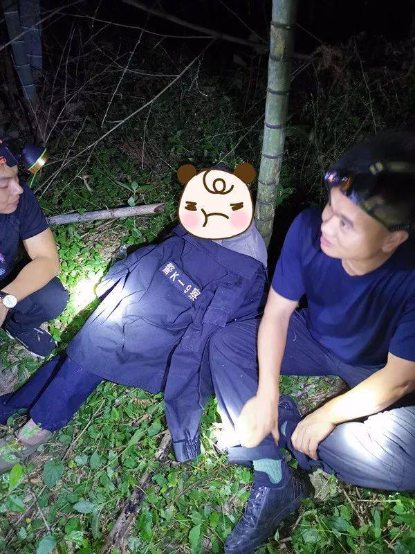 台州7旬老人进山采猕猴桃迷路失联，警方7小时成功搜救