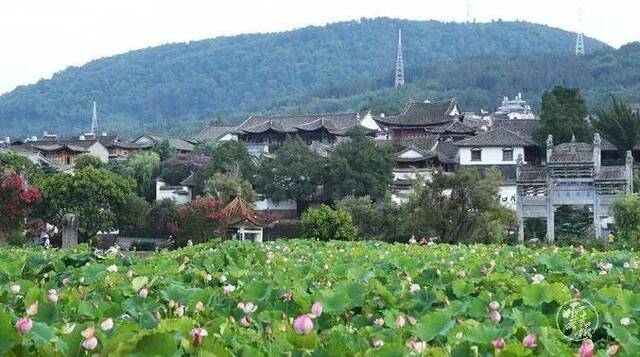 大滇西旅游环线建设工作领导小组成立 省长挂帅