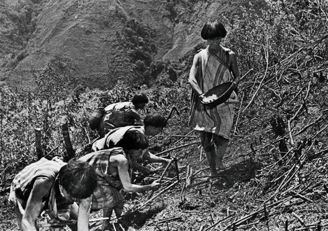 云南独龙江乡独龙族群众在上世纪50年代刀耕火种的资料照片。（新华社图）