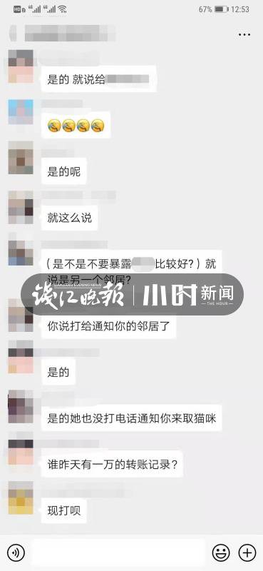 万元寻猫邻居找到后赏金没着落？猫主人:给别人了