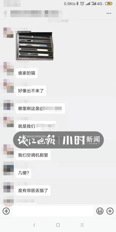 万元寻猫邻居找到后赏金没着落？猫主人:给别人了