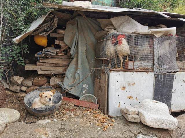 河北有个美丽的原始村庄村民住着古朴的石头房