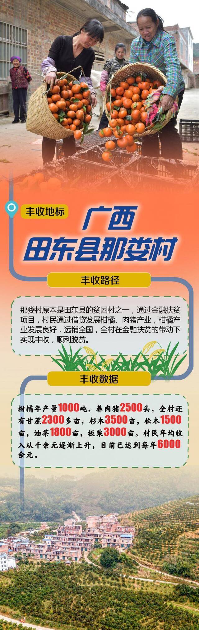 那娄村：金融扶贫 让农民靠“信用”换取丰收