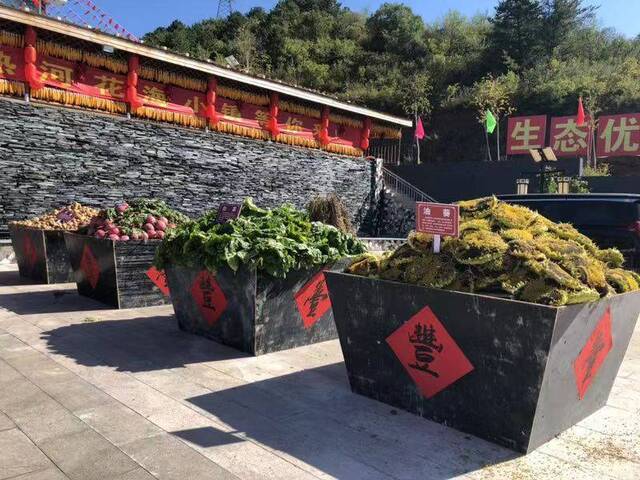 滦平庆丰收果蔬满仓南瓜堆垛