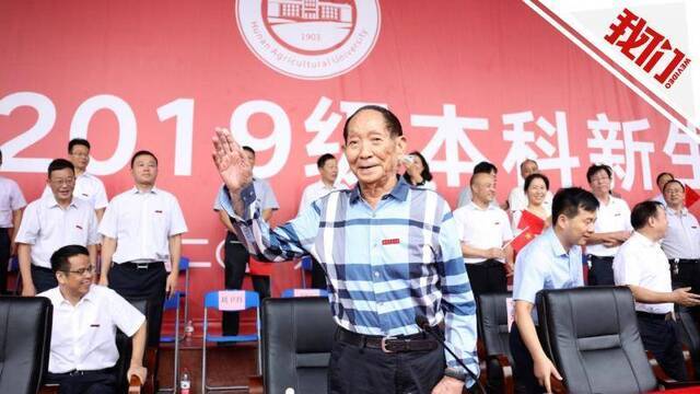 水稻亩产超千斤，袁隆平何以“化盐碱地为神奇”？