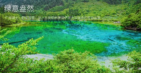 九寨沟景区震后恢复重建两年后，部分景观将于9月27日对外开放。景区官网截图