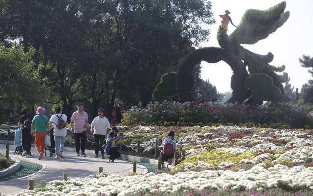 北京植物园市花展国庆开幕，40万鲜花将汇成“花海”