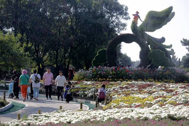 北京植物园40万株鲜花迎国庆 市花展十一开幕 组图