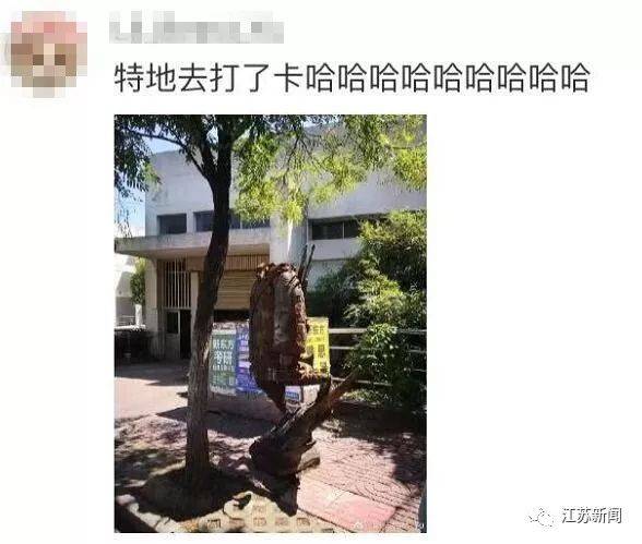 南京大学生走路沉迷低头看手机 一头撞掉雕塑的头