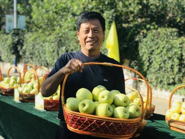 大梨可口多汁哪家强？“梨园子弟”一决高下