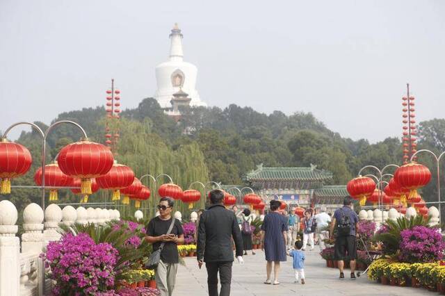 祥龙出水、熊猫拍照，36组立体花坛亮相市属公园