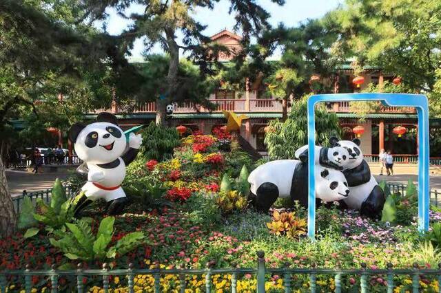 祥龙出水、熊猫拍照，36组立体花坛亮相市属公园