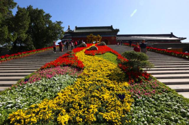 祥龙出水、熊猫拍照，36组立体花坛亮相市属公园