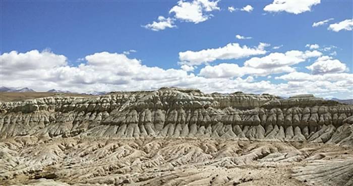 青藏高原古生物科考队在阿里地区札达盆地发现新的三趾马化石