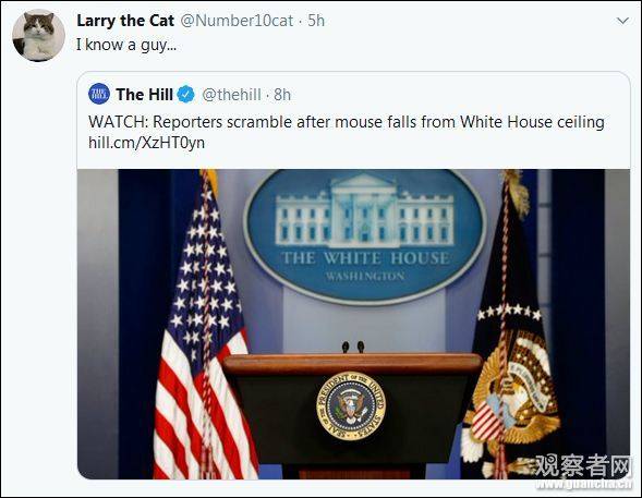 白宫从天而降一只老鼠 这下可把记者忙坏了(图)