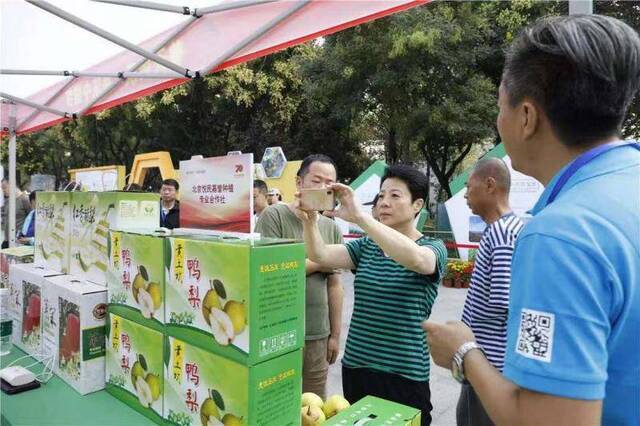 密云七大公园接待游客上万人次设特色农业展区