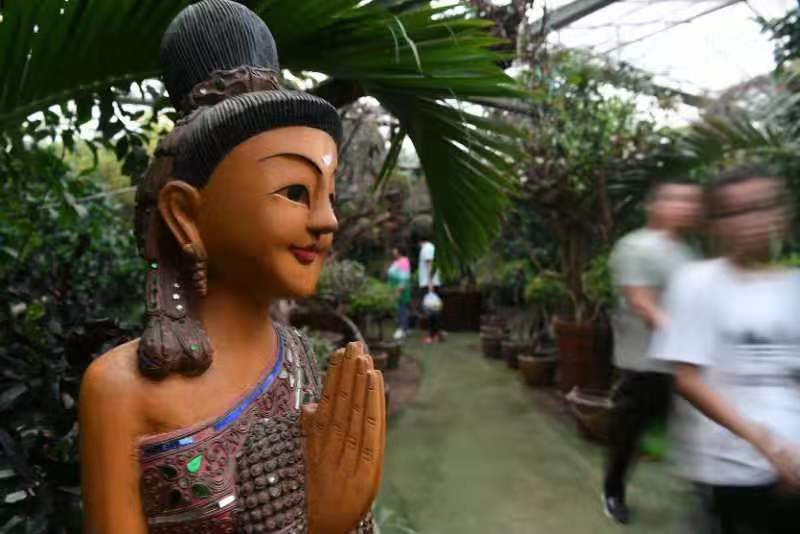 ​在北京大兴过火把节 体验“南果北种”