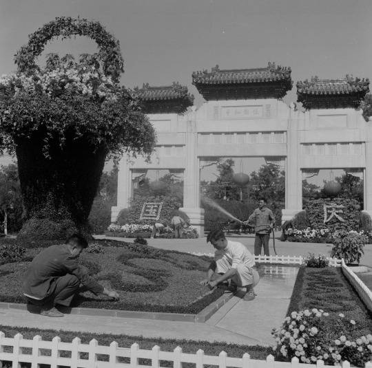 1965年，中山公园职工用鲜花组成“国庆”二字，为新中国庆生。刘乐棠/摄