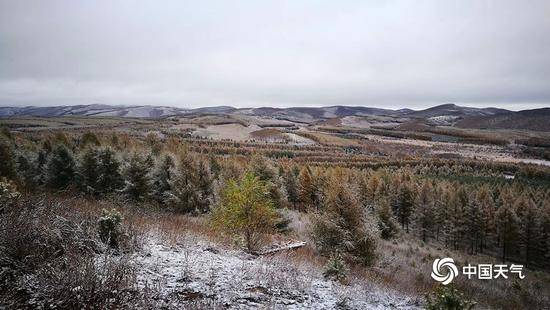 下雪了 河北承德塞罕坝林场迎来今秋首场降雪(图)