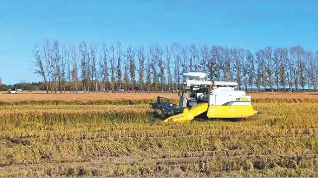 垦区全力推进试验力度无人驾驶作业完成水稻收割翻地