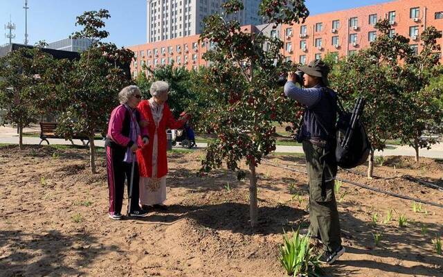 重阳节700多名老人赴北七家镇快乐采摘