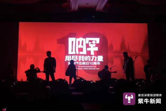  8772乐队举办过几十场演出