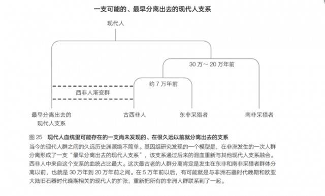 人类起源于非洲吗？造就现代人的一次混血