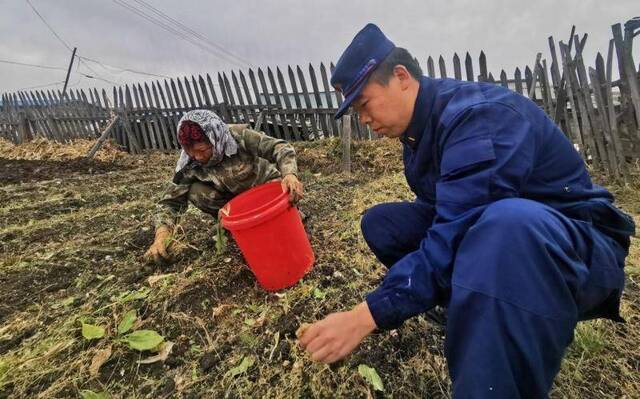 库斯特林场农民迎来丰收“好帮手”