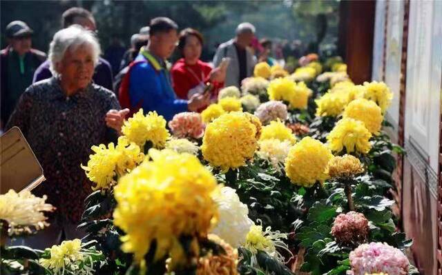 国庆假期近320万人游市属公园，部分活动节后将持续