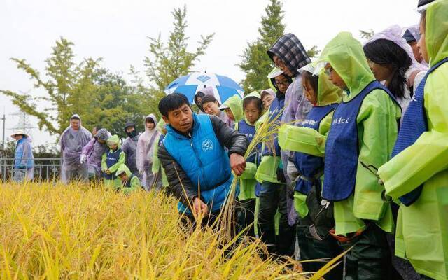 体验“稻花香里说丰年”，园博馆开展秋收科普活动