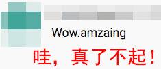 这群比利时人热衷中国功夫 舞龙耍狮样样在行