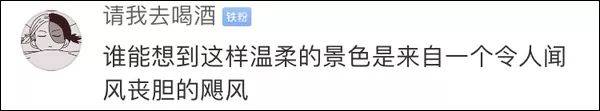 台风地震火山一起来 日本昨天成了这样(图)