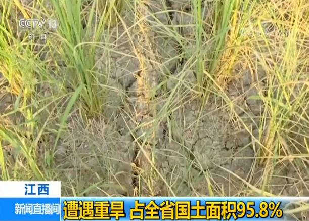 江西超九成地区重旱 鄱阳湖水位跌破10米