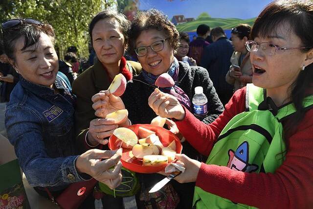 万亩红富士苹果成熟密云新城子采摘季启动