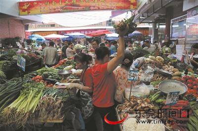 生活莞丨拍客 沙苑市场的清晨