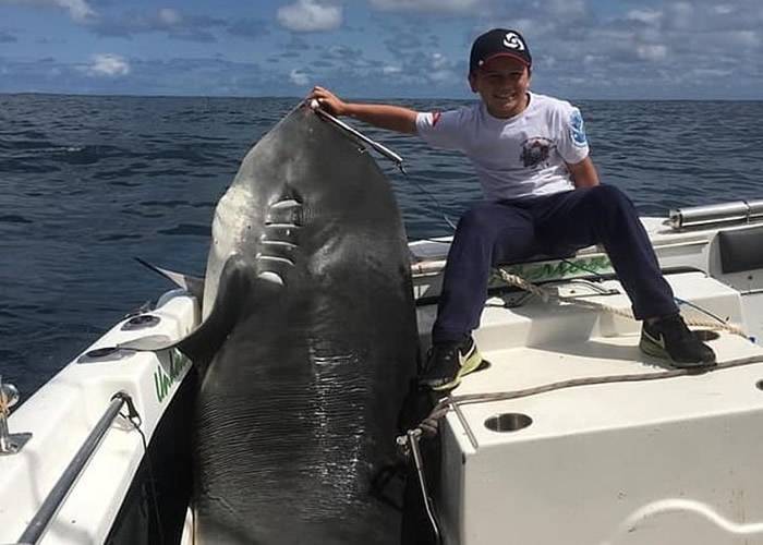 澳洲8岁男童Jayden Maillauro捕获314公斤虎鲨打破捕捉最大型海洋生物纪录