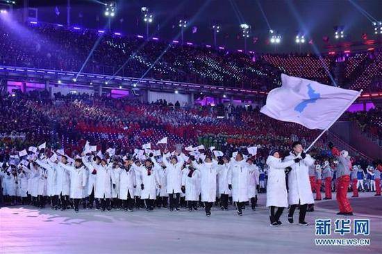 平昌冬奥会，韩朝代表持半岛旗入场图片来自新华网