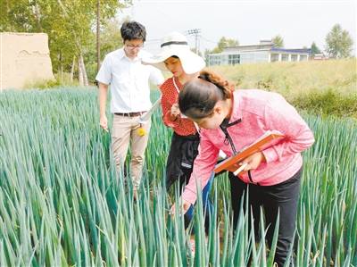 新品种不断 菜篮子更丰——我省蔬菜产业健康快速发展