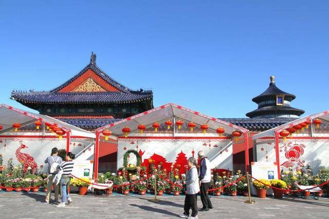 秋花彩叶相映，市属公园20处“最美秋景”本周可赏