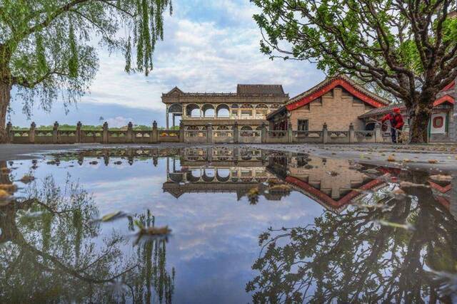 秋花彩叶相映，市属公园20处“最美秋景”本周可赏