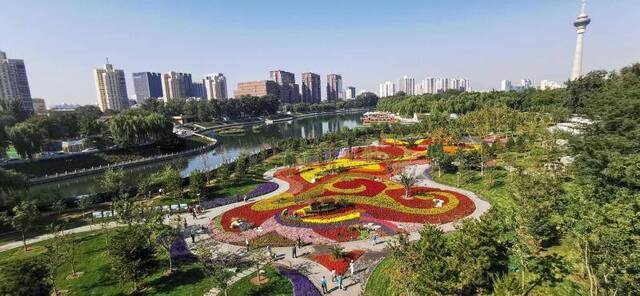 秋花彩叶相映，市属公园20处“最美秋景”本周可赏