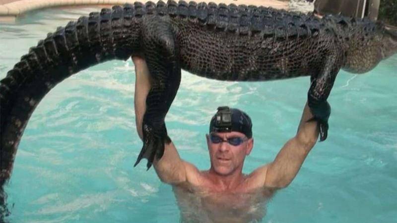 这只鳄鱼长约2.8米，体重在160-180斤之间（图源：福克斯新闻网）