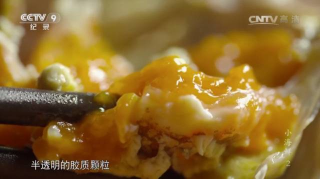 秋日食蟹指南：一勺蟹肉酱，“清水变鸡汤”